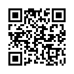 1-1734516-2 QRCode