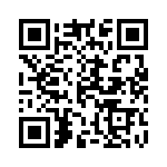 10-117933-16X QRCode