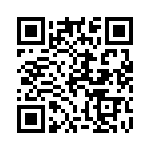 10-262832-17P QRCode