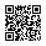 100200P4Z50-2 QRCode