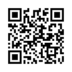 100217_94 QRCode