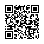 100285-1 QRCode