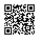 100306 QRCode