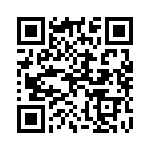 100307QI QRCode