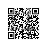 1003P1T1B1M2QEH QRCode
