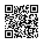 1003P1T2B1M1QE QRCode