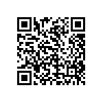 1003P1T6B11M6REH QRCode
