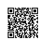 1004P1T8B13M2QE QRCode