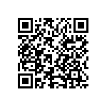 1004P3T1B1M1QEH QRCode