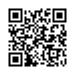 1004P3T1B1M2QE QRCode