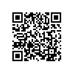 1004P3T8B13M1QE QRCode