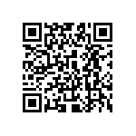 10061402-10300T QRCode