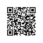 10069525-124000 QRCode