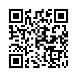 1008-333K QRCode