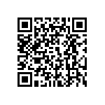 100DP1T6B11M1QEH QRCode