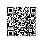 101-PRS13022-12 QRCode