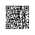 10104999-P0E-30B QRCode