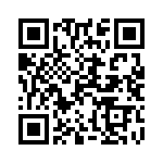 101153U030BB2A QRCode