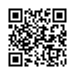 101333U075DC2B QRCode