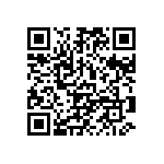 101C113T200DD2B QRCode