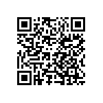 101C133T200DE2B QRCode