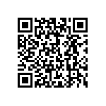 101C291T250AK2B QRCode