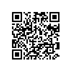 101C453U100DE2D QRCode