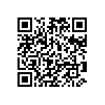 101C613U040BD2B QRCode