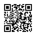 102S42E1R1BV4E QRCode