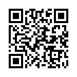 102S42E8R2BV4E QRCode