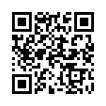 1041100000 QRCode