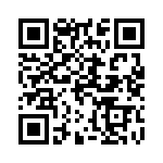 1041310000 QRCode