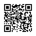 106-333F QRCode