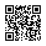 106-333H QRCode