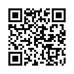 1060303200 QRCode