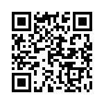 11010_38 QRCode