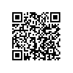 1111J1001P80DQT QRCode