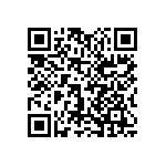 1111J1004P30HQT QRCode