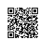 1111J1K00111JQT QRCode