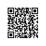 1111J1K00300JQT QRCode