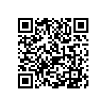 1111J1K01P80BQT QRCode