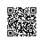 1111J2500271KQT QRCode