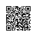 1111J2500431KQT QRCode