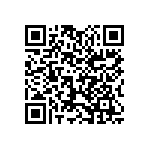 1111J2K00560JQT QRCode