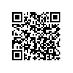 1111J2K02P20BQT QRCode