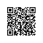 1111J2K03P60DQT QRCode