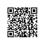 1111J2K05P10DQT QRCode