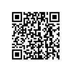 1111J3000110JQT QRCode