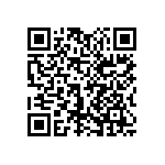 1111J3001P90DQT QRCode