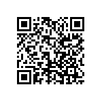 1111J500P300DQT QRCode